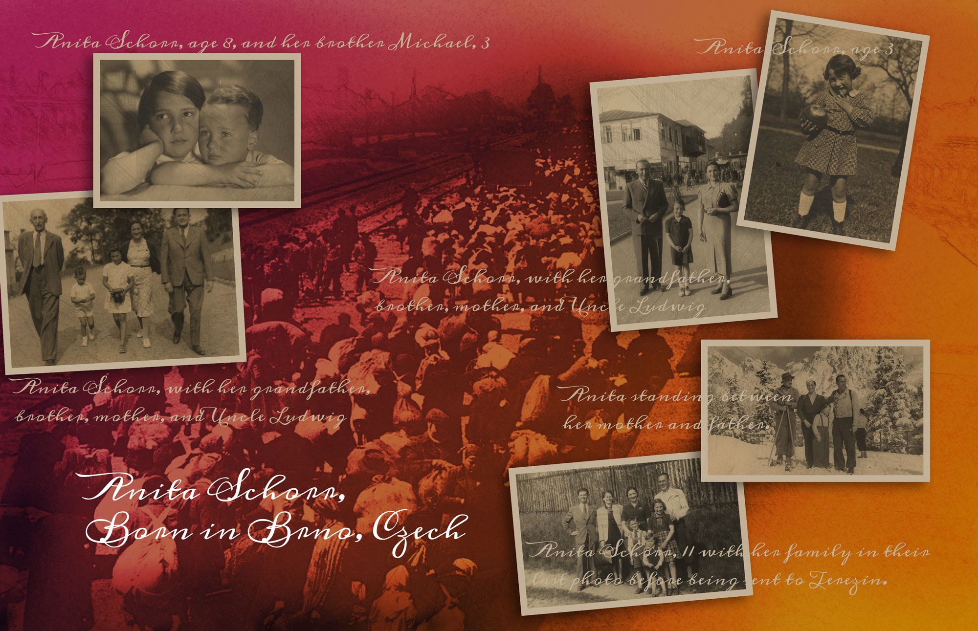 The Universal within the Particular