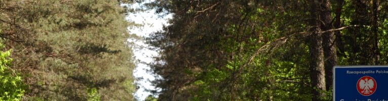 Slow Agony of Europe