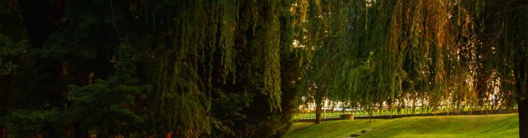 Fatigue-Resistant Resistance