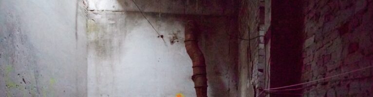 Dispatches from Ukraine