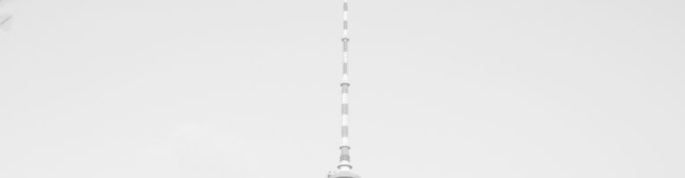 Relaunching the Democracy Seminar