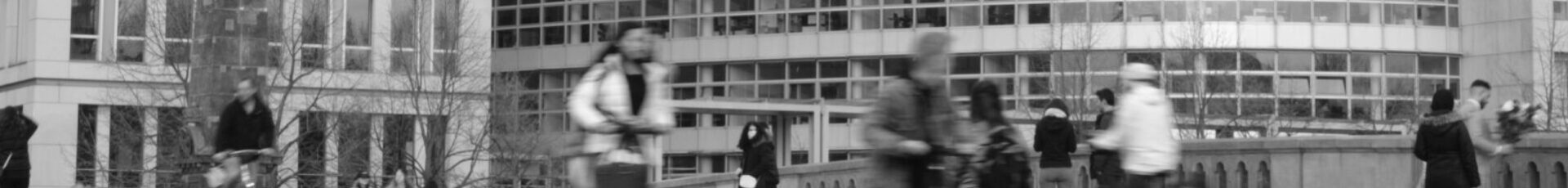 The Truth of The New Right