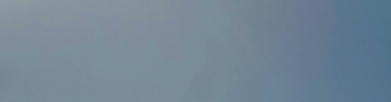 Milei’s Right-Libertarian Populism 