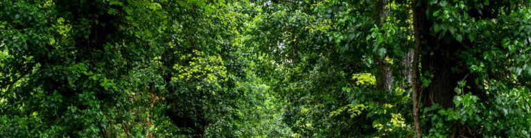 Small Acts of Repair