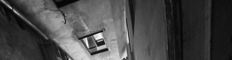 The Truth of The New Right