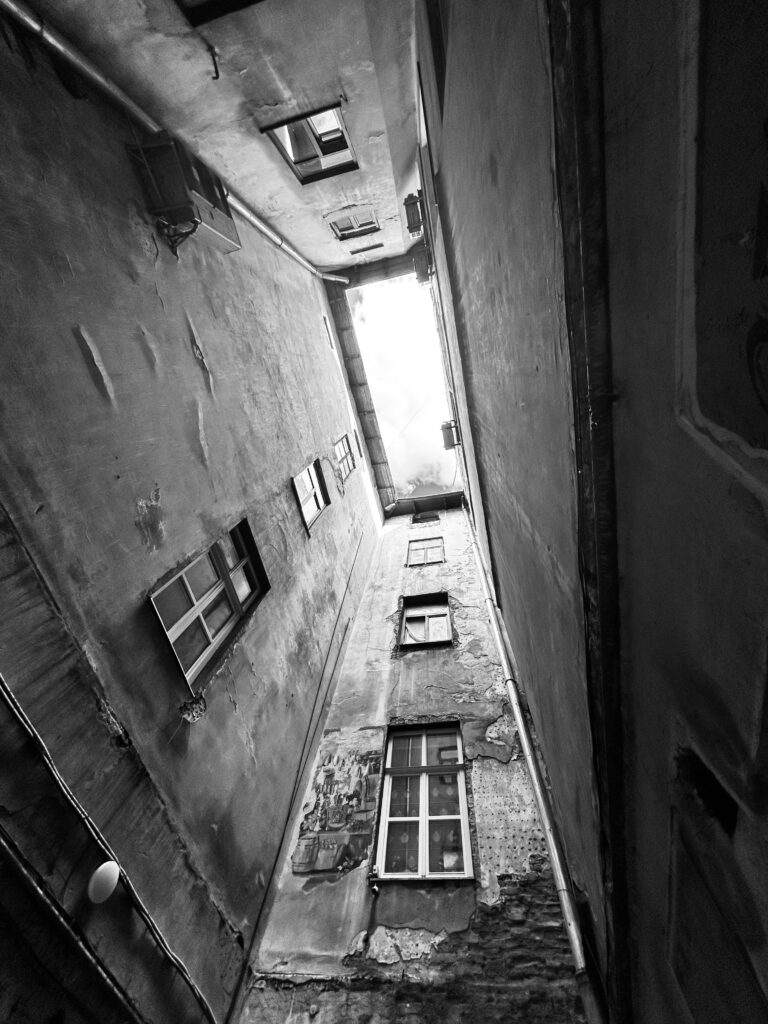 Photo: Alex Rusin (Pexels)