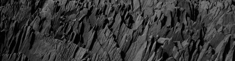 Thoughts on “The Radical Center” and the Defense of Democracy