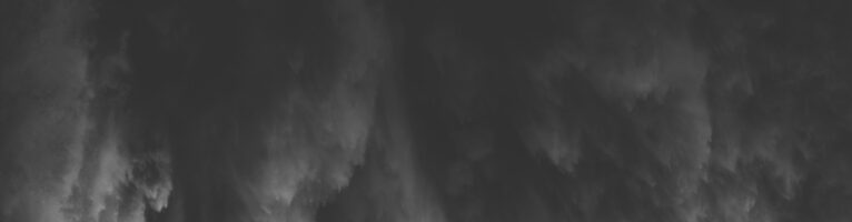 Resisting cynicism and neo-totalitarianism